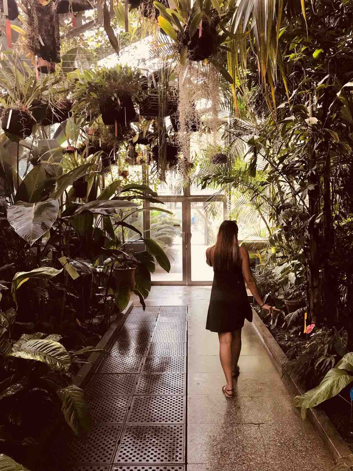 Woman walking through a botanical gardens